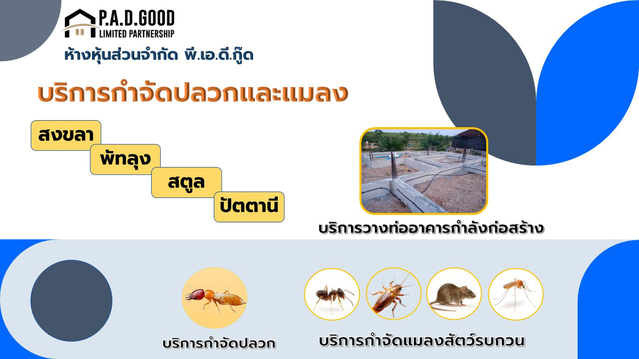 บริการกำจัดปลวกและแมลง