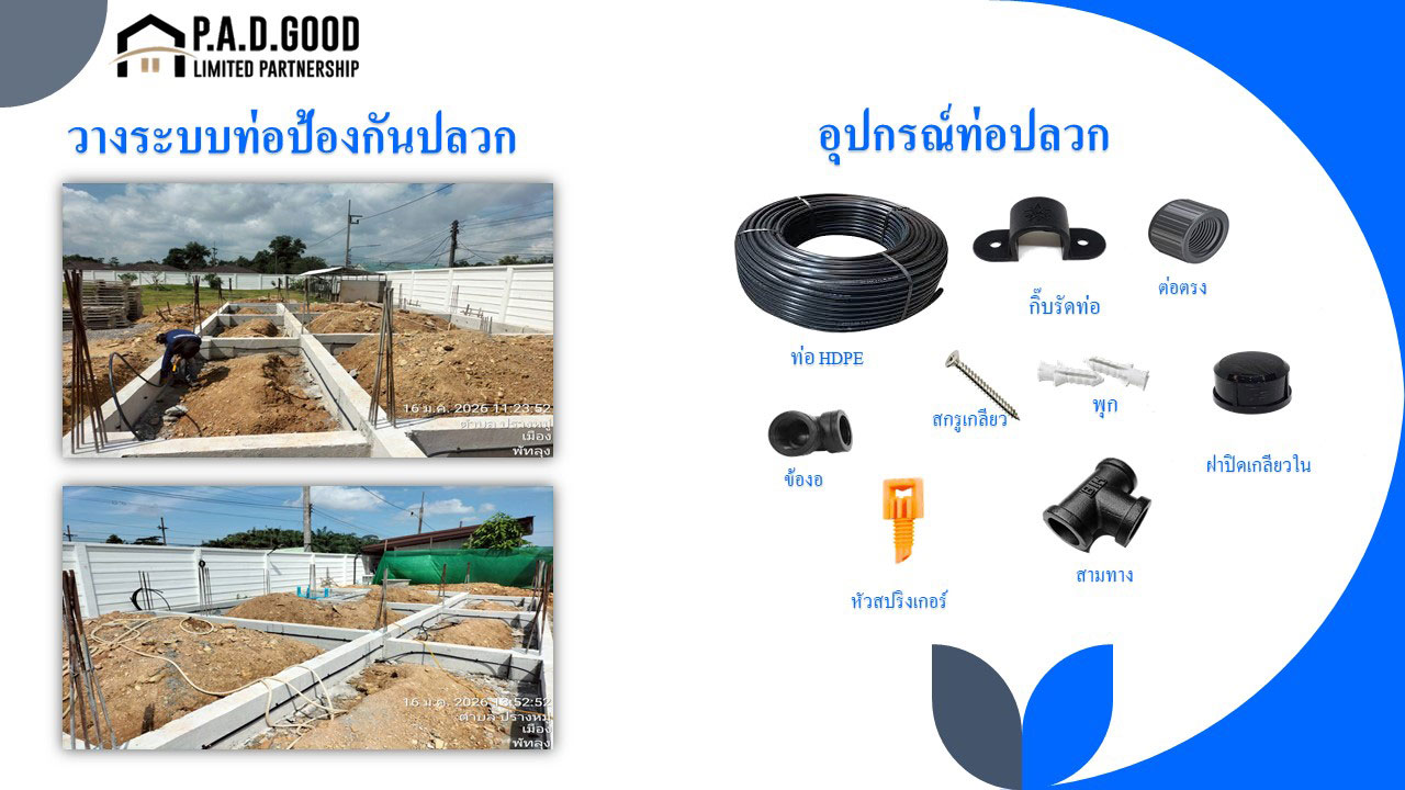 วางระบบท่อป้องกันปลวก